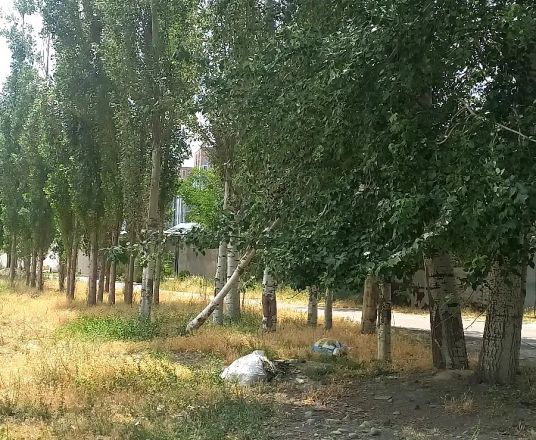 Сотувда ер участкаси, 6 сот.
