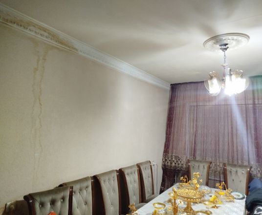 2006005