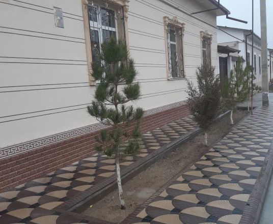 Сотувда уй, 260 м², 1 қаватли, 6 сот.