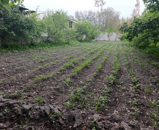 В продаже земля, 7 сот.