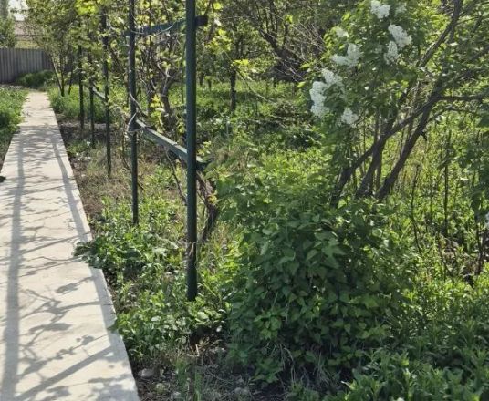 Сотувда ер участкаси, 23 сот.
