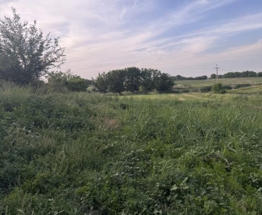 В продаже земля, 15 га