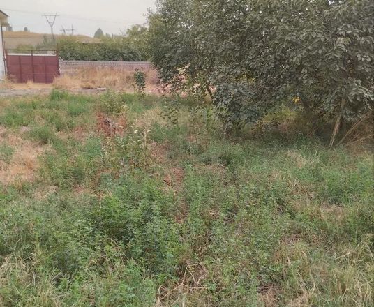 В продаже земля, 5 сот.