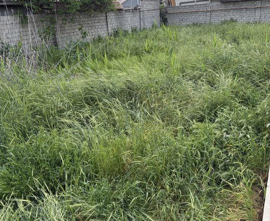 В продаже земля, 6 сот.