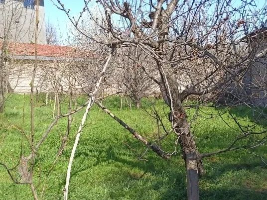 Сотувда ер участкаси, 10 сот.