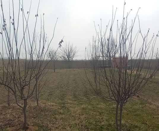 В продаже земля, 6 сот.