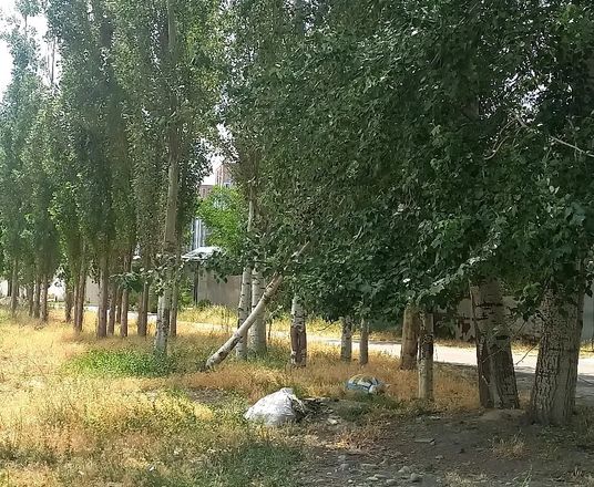Сотувда ер участкаси, 6 сот.