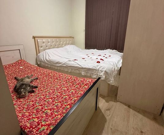 Сотувда 2 хонали квартира, 54 м²