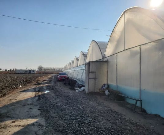 Сотувда ер участкаси, 1,5 га