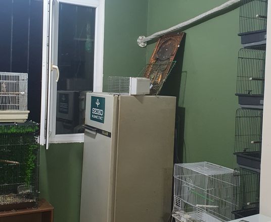 Сотувда 2 хонали квартира, 57 м²