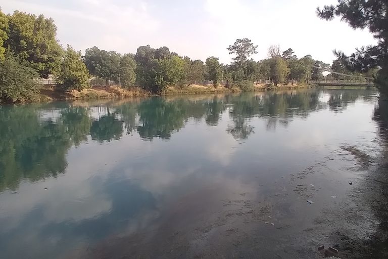 В продаже дом, 200 м², 1 этаж, 12 сот.