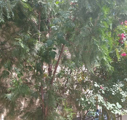 3-комн. квартира, 150 м², 1/1 этаж