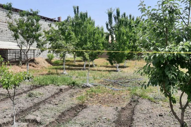 Сотувда ер участкаси, 10 сот.