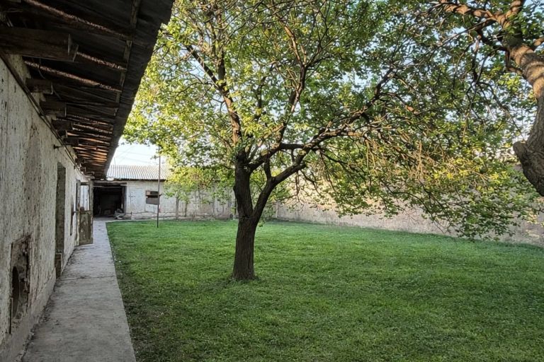 В продаже земля, 8 га