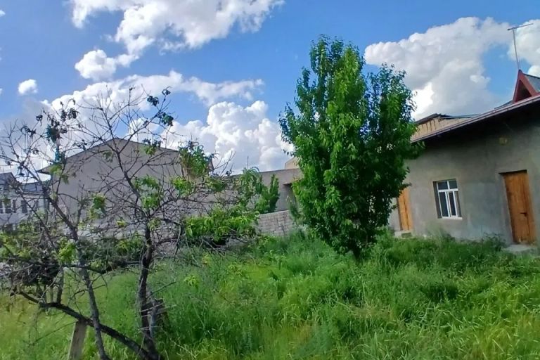 Сотувда ер участкаси, 12 га