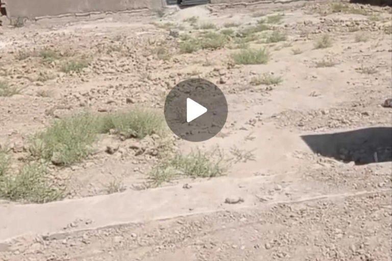 Сотувда ер участкаси, 6 сот.