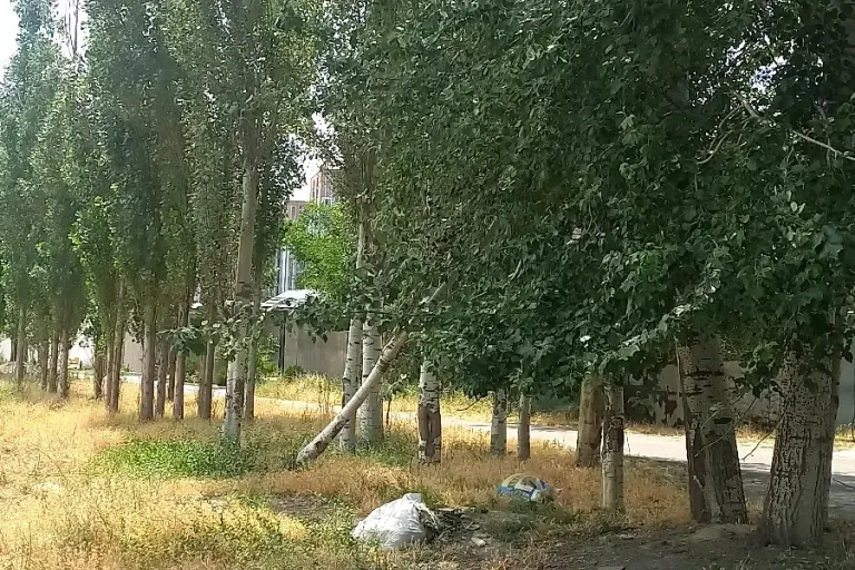 В продаже земля, 6 сот.