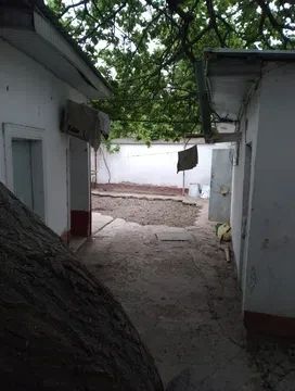 Ҳовли уй, 300 м², 1 қават, 3 сот.