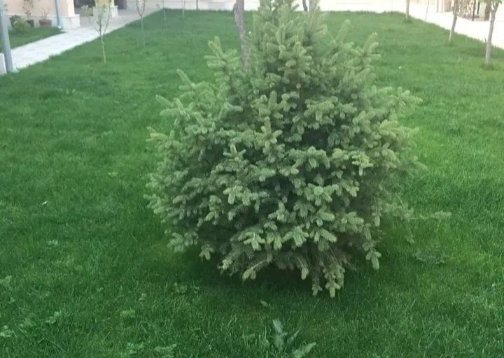 В продаже земля, 3 сот.