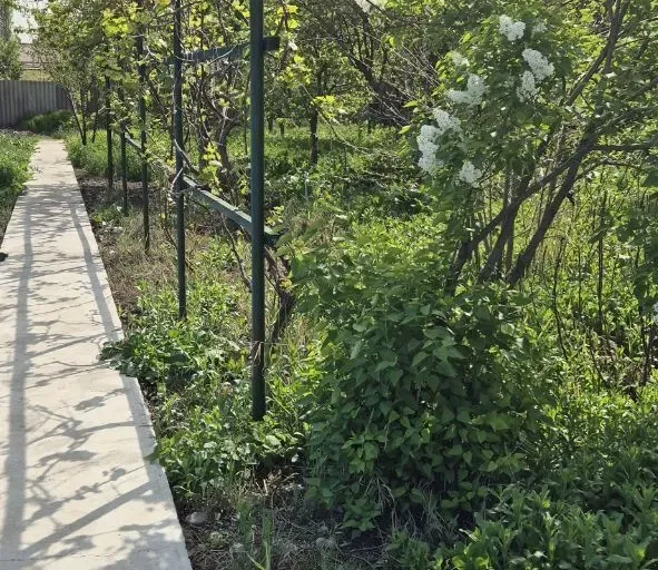 В продаже земля, 23 сот.
