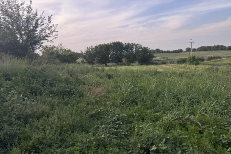 В продаже земля, 15 га