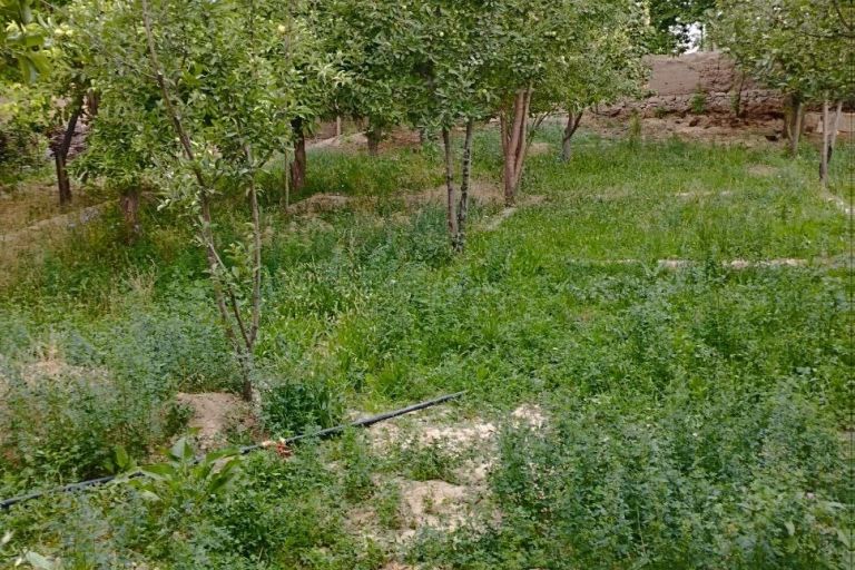 Земля, 8 сот.