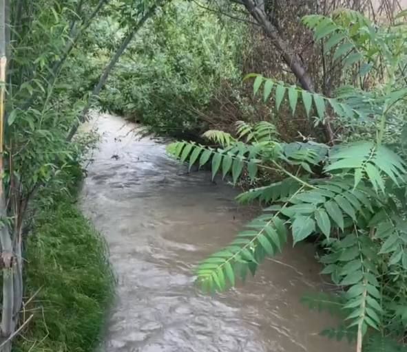 В продаже земля, 6 сот.