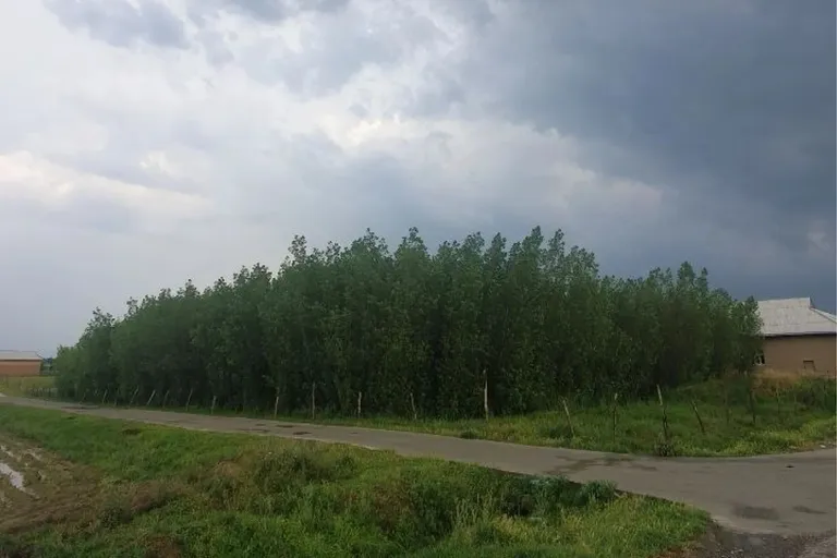 В продаже земля, 46 сот.