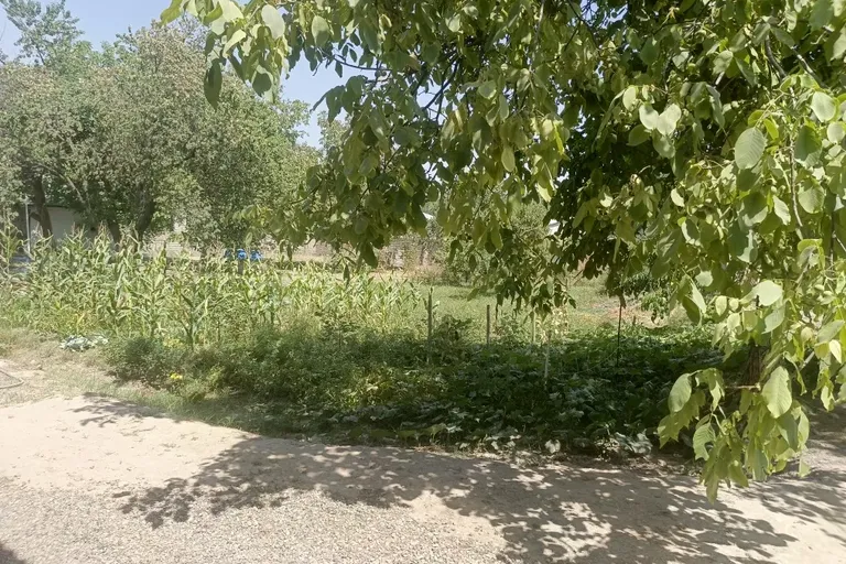 В продаже земля, 3 сот.