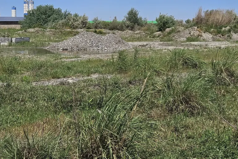 Сотувда ер участкаси, 1 га