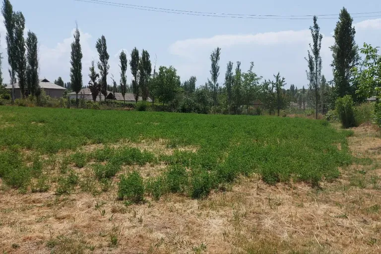 Сотувда ер участкаси, 40 сот.