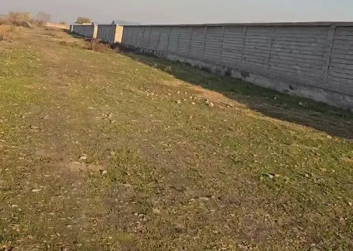 В продаже земля, 50 сот.