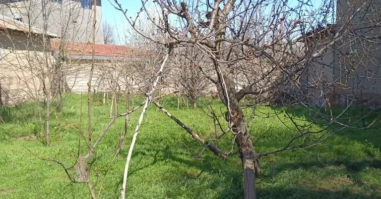 В продаже земля, 10 сот.
