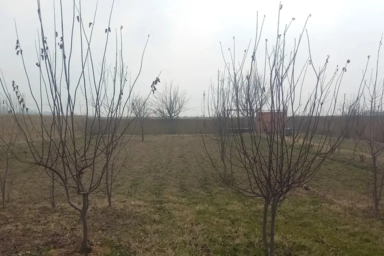 Сотувда ер участкаси, 6 сот.
