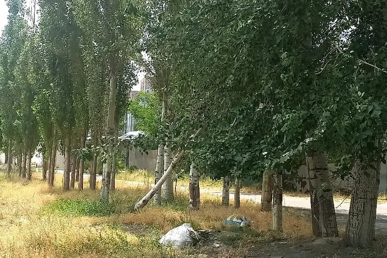 В продаже земля, 6 сот.