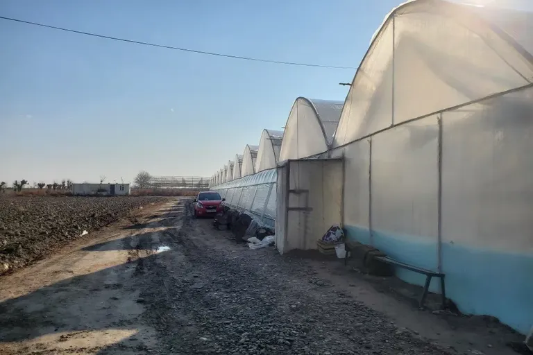 В продаже земля, 1,5 га