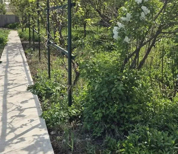 Сотувда ер участкаси, 23 сот.