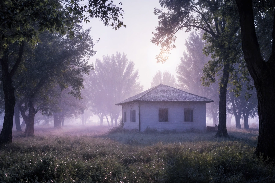 2026-yilda uy, kvartira va yer uchun soliqni qanday hisoblash mumkin?