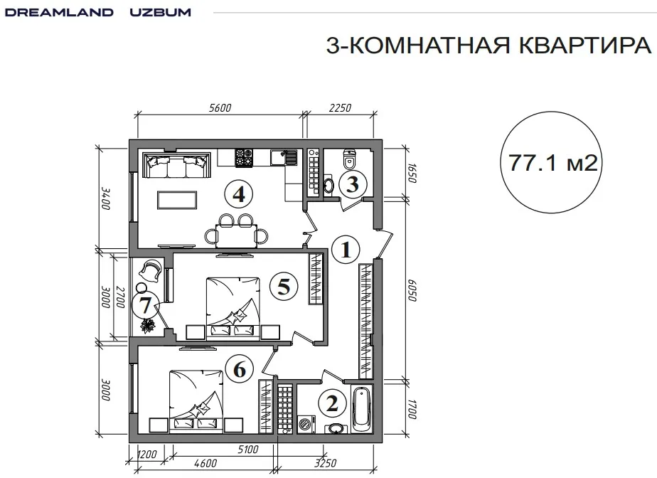 Dreamland Do'stlik