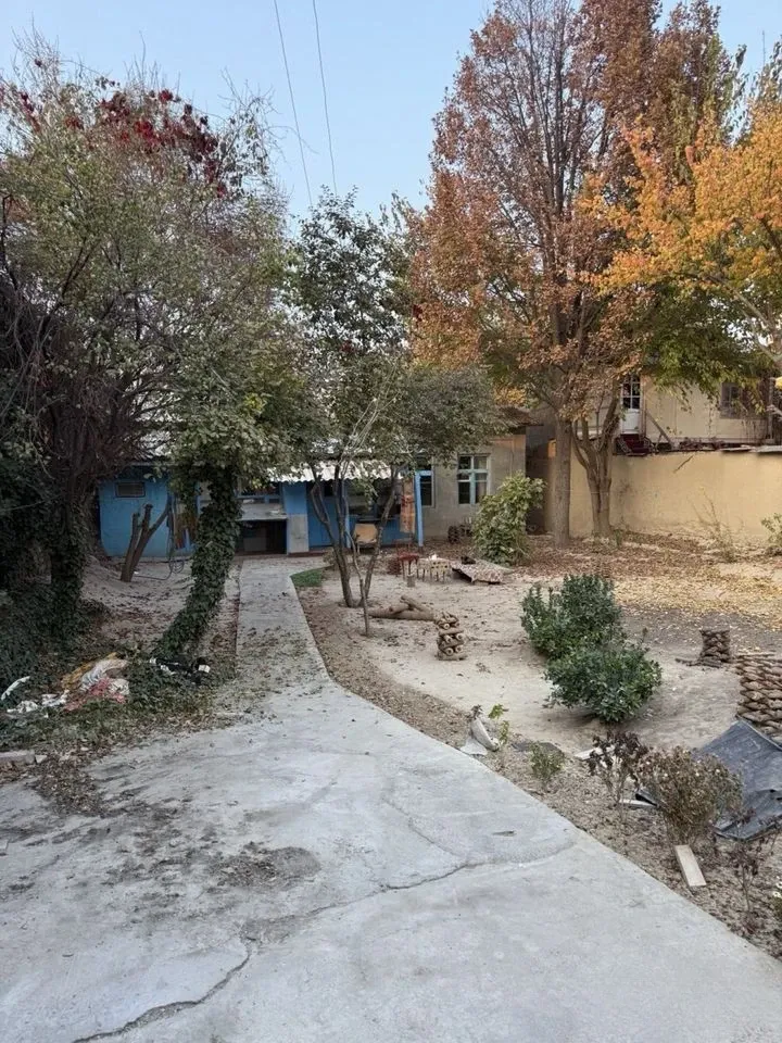 Изображение №1