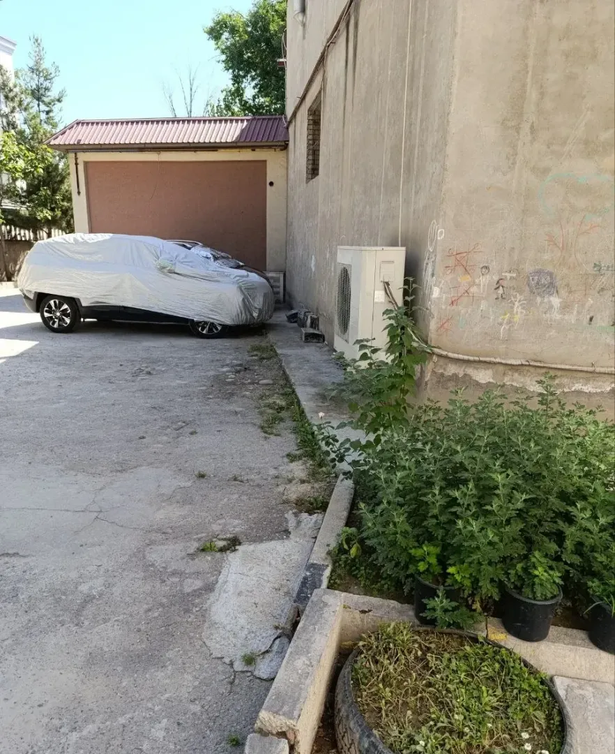 Изображение №1