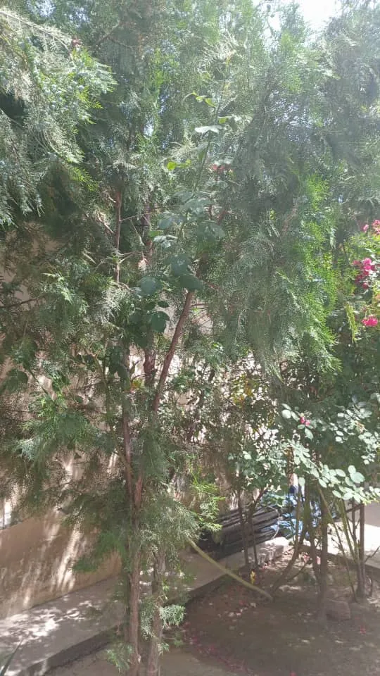 Изображение №7