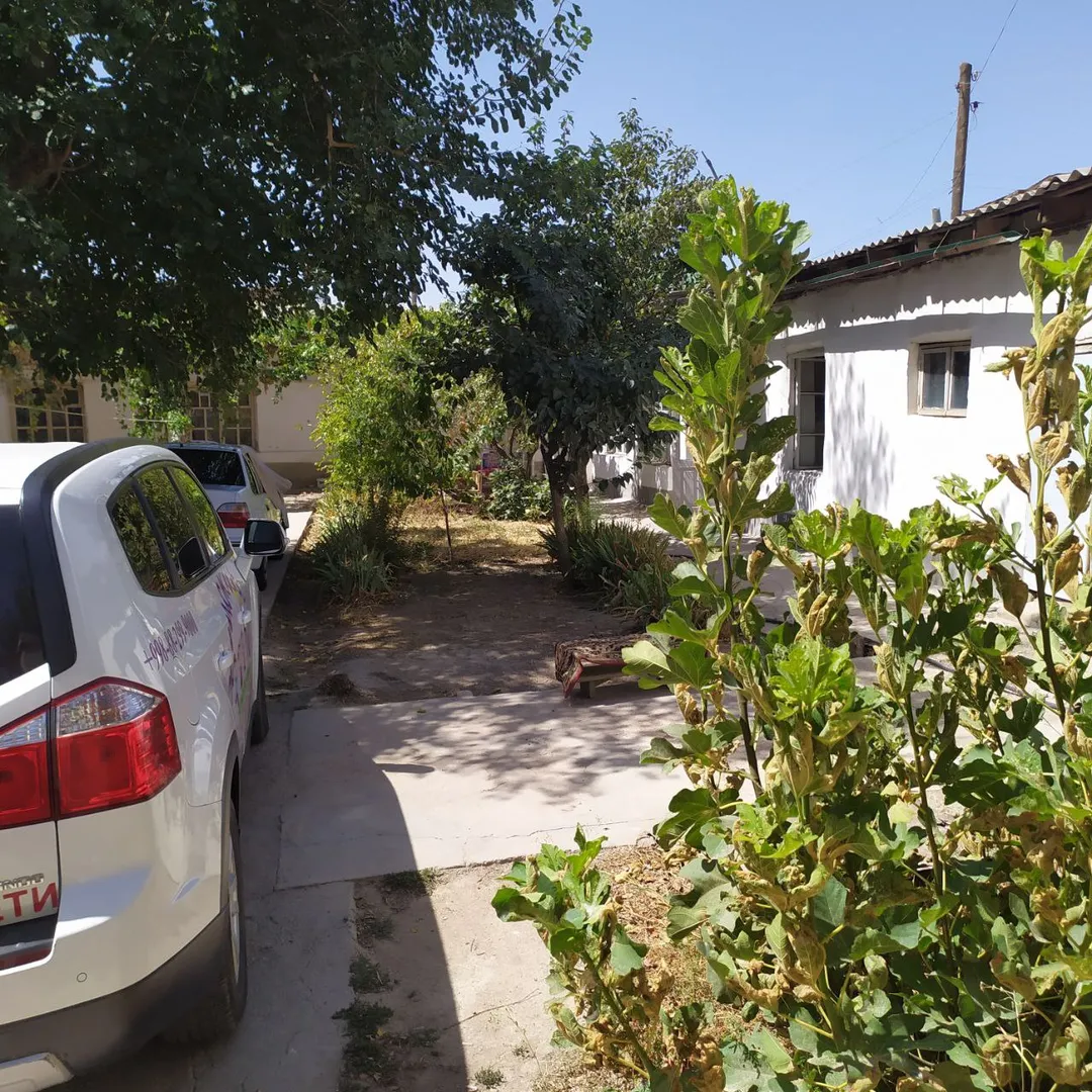 Изображение №1