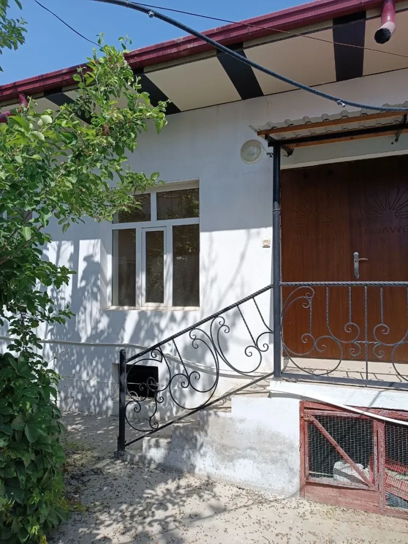 Изображение №1