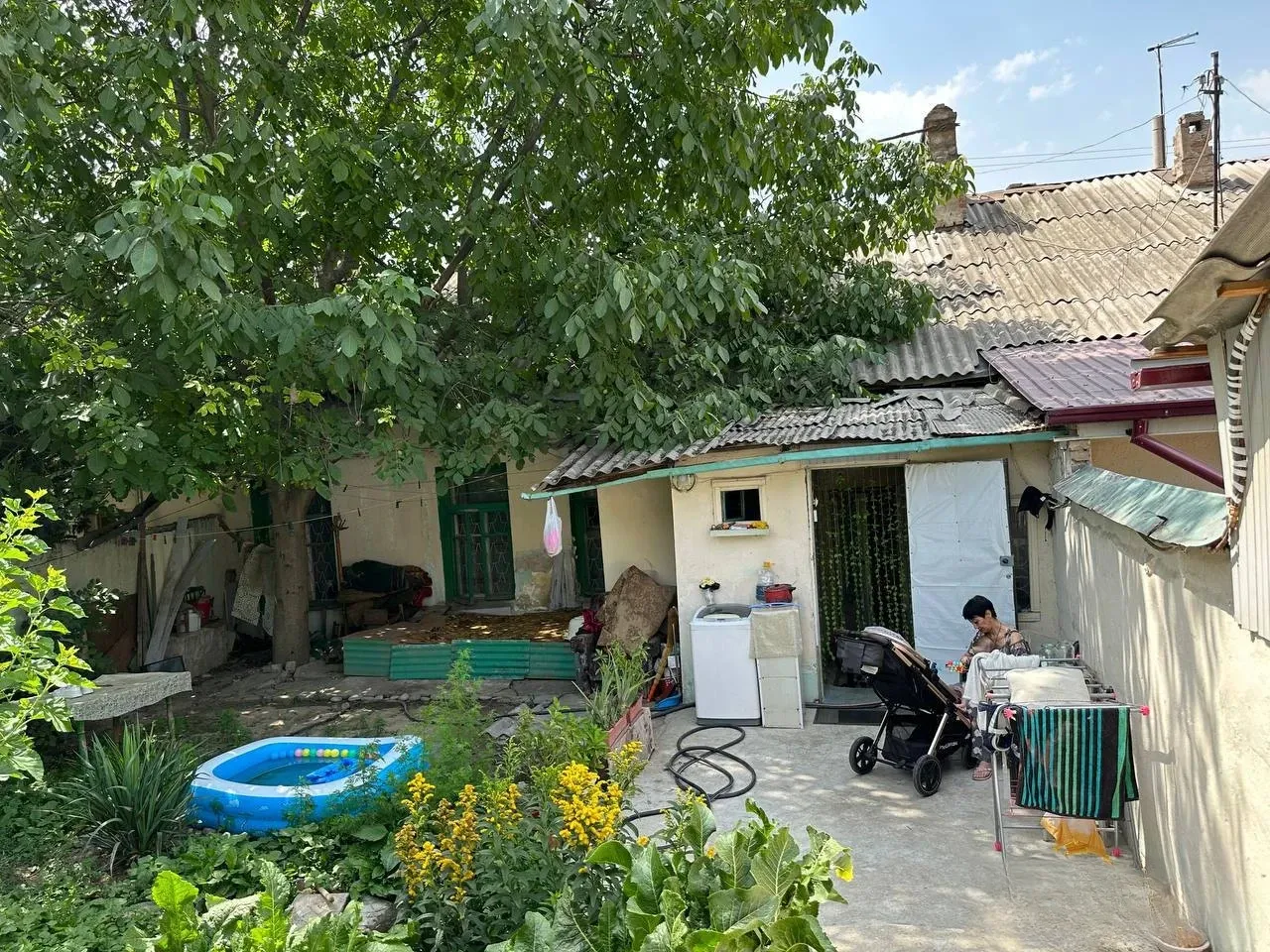 Изображение №1