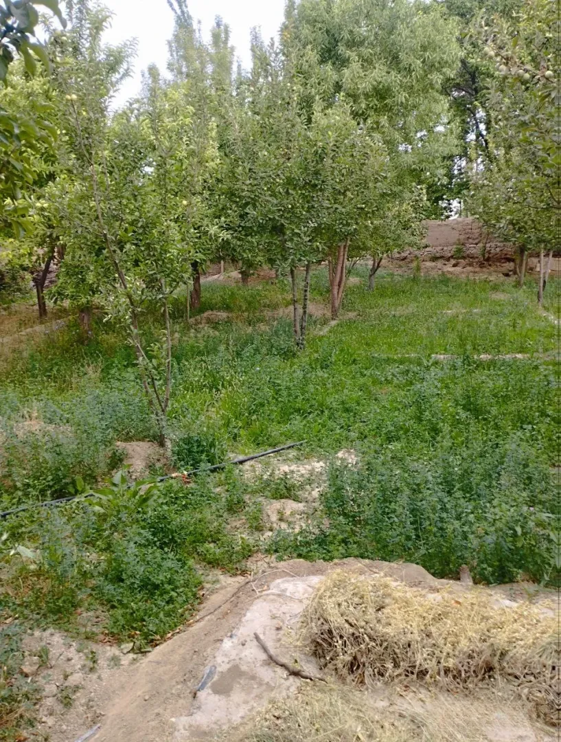 Изображение №1