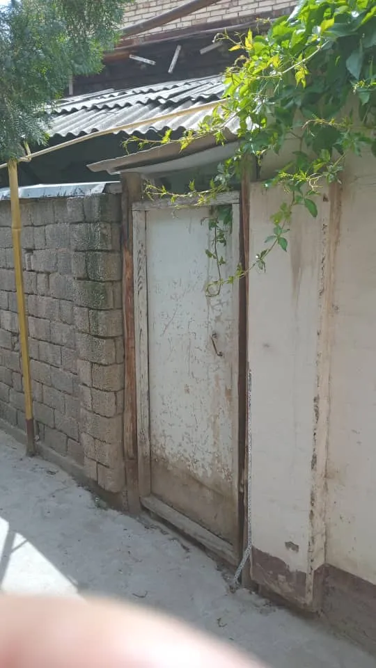 Изображение №1