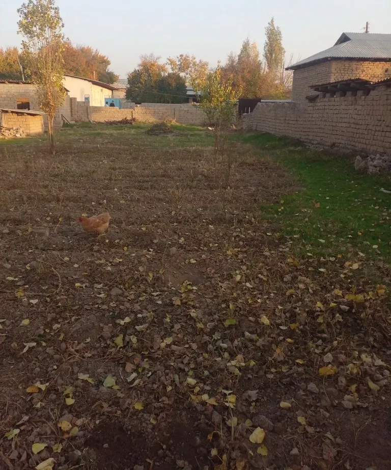 В продаже земля, 3 сот.