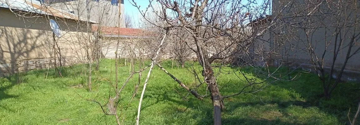 Сотувда ер участкаси, 10 сот.