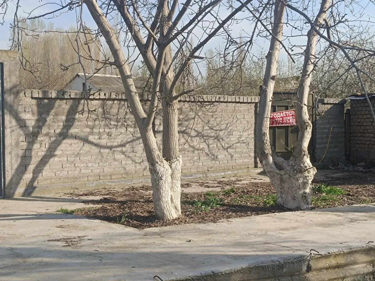 В продаже земля, 3 сот.